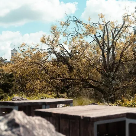 Appartement Le Seigneur Des Anneaux *