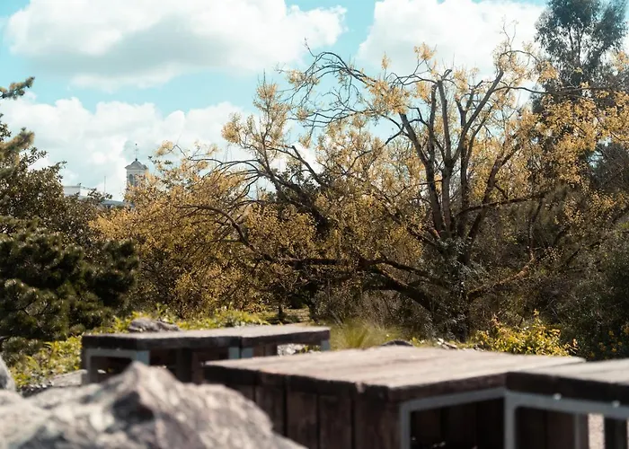 Lägenhet Le Seigneur Des Anneaux *